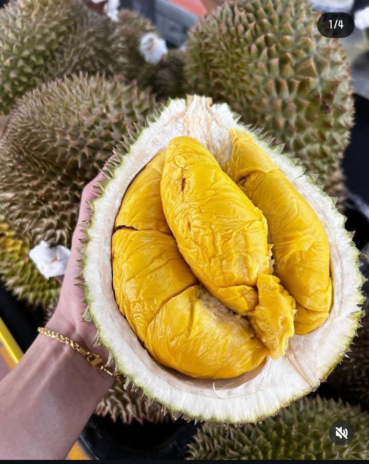 Simak! Ini Manfaat  Buah Durian untuk Wanita, Salah Satunya Meningkatkan Kesuburan!