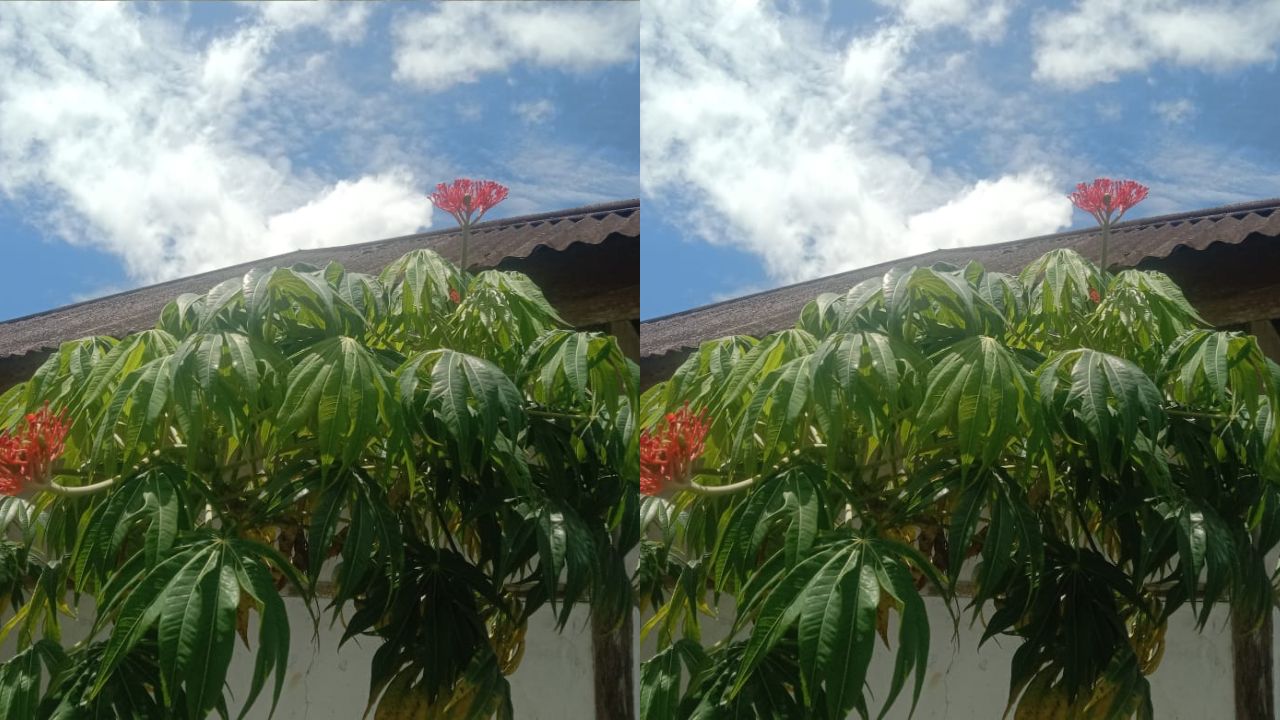 Jangan Sembarang! Ini 3 Tips Menggunakan Jarak Tintir pada Luka yang Perlu Kamu Ketahui