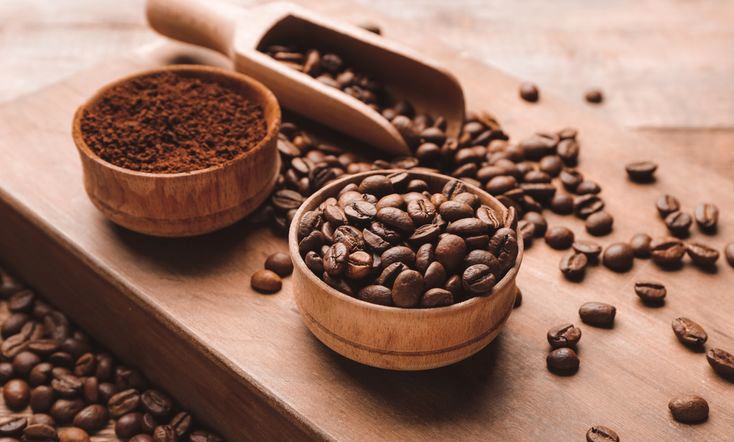 Arabika atau Robusta? Panduan Lengkap Memilih Jenis Kopi Sesuai Selera