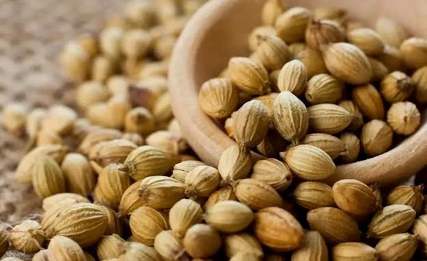  Jarang Disadari, Kapulaga Ternyata Punya Banyak Manfaat untuk Wanita