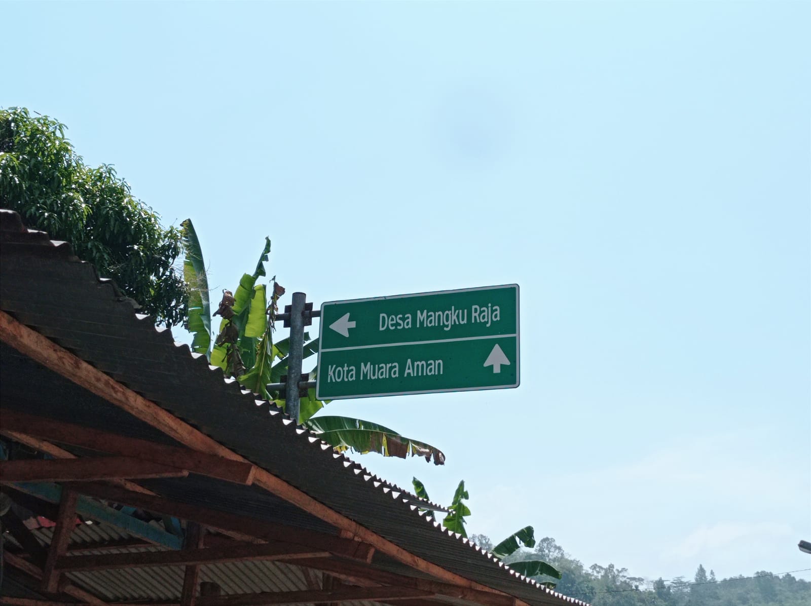  Ingin Berkunjung ke Desa Mangkurajo Bekas Kebun Ibu Tien, Lokasinya di Lebong? Ini Dia Rutenya