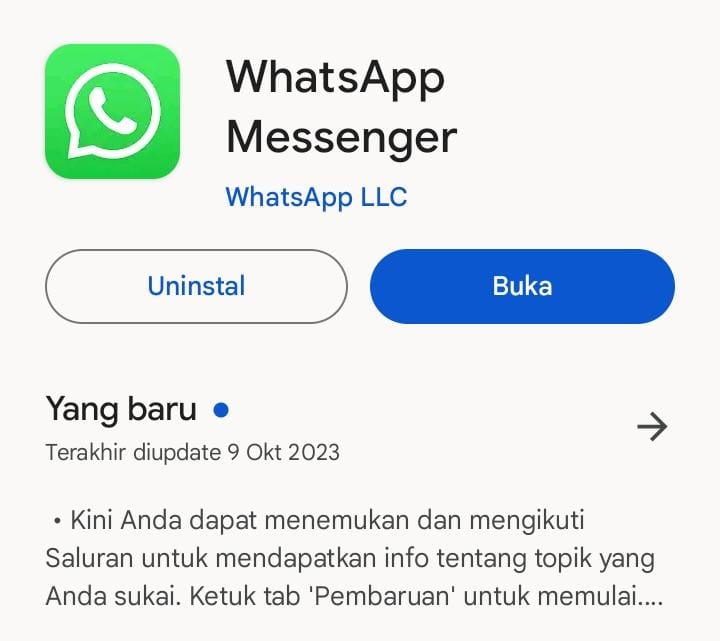 Aplikasi WhatsApp Ditutup 24 Oktober untuk Android dan iPhone