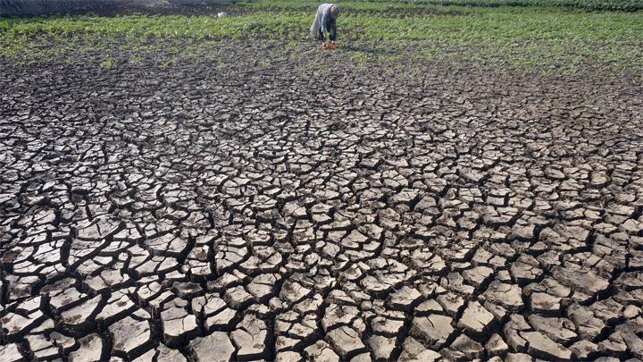 Dampak Telatnya Musim Hujan Terhadap Lingkungan: Tantangan Perubahan Iklim di Indonesia