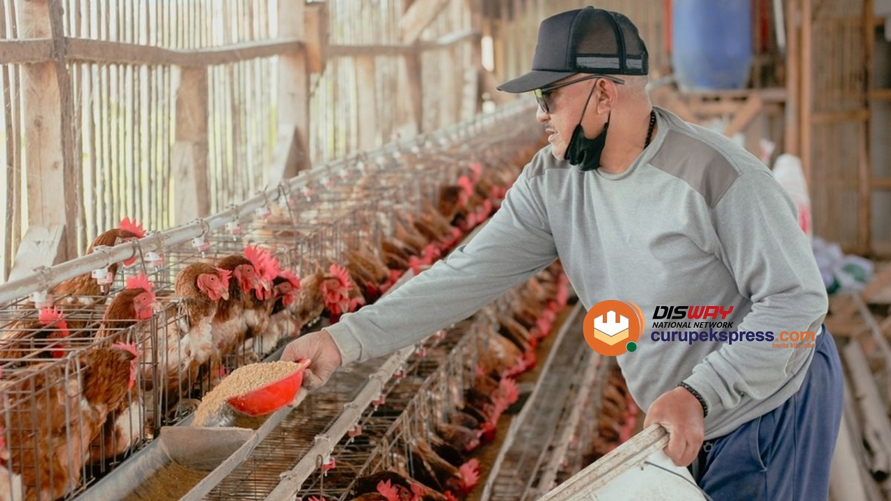  5 Ide Usaha di Masa Pensiun yang Bisa Dibiayai Briguna Purna, Solusi Cerdas untuk Hari Tua!
