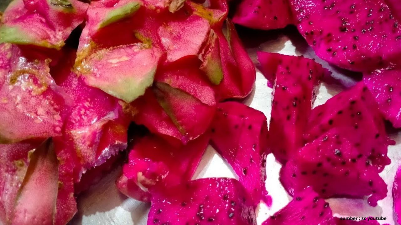 Catat! Ini 3 Manfaat Buah Naga untuk Ibu Hamil yang Jarang Diketahui