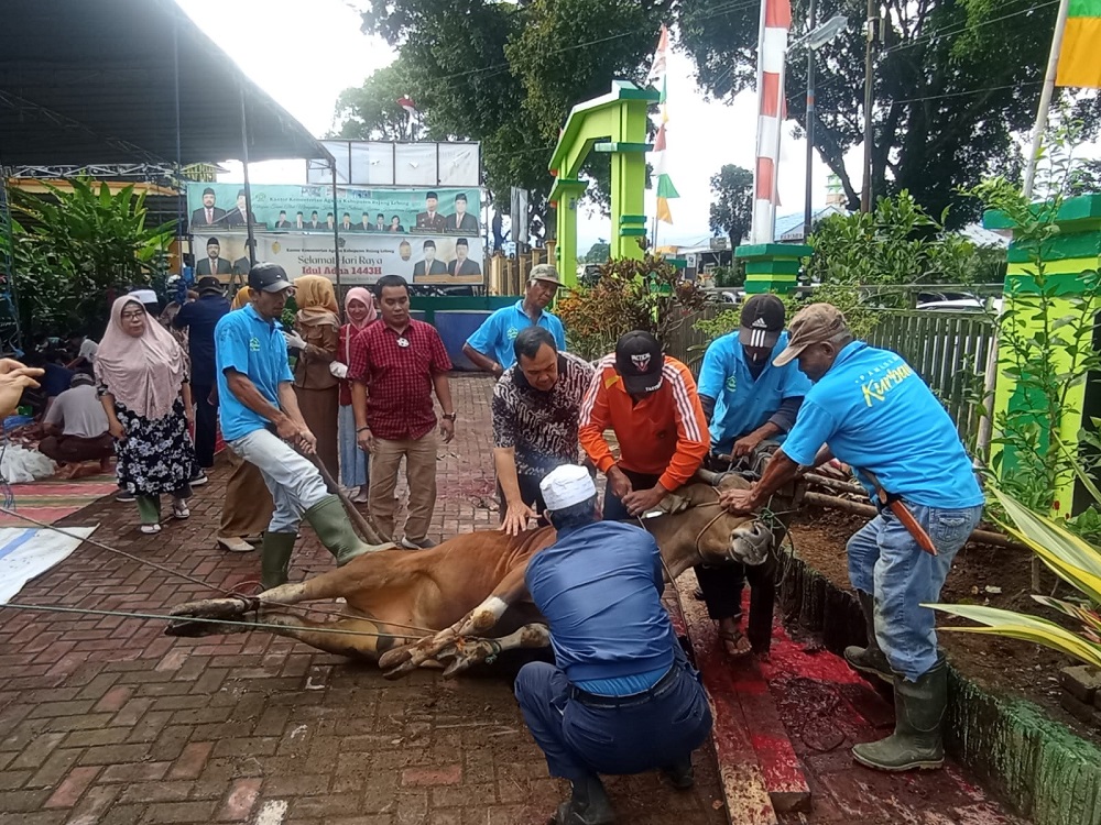 Catat! Waktu Baik Berqurban Hanya Berlaku 4 Hari