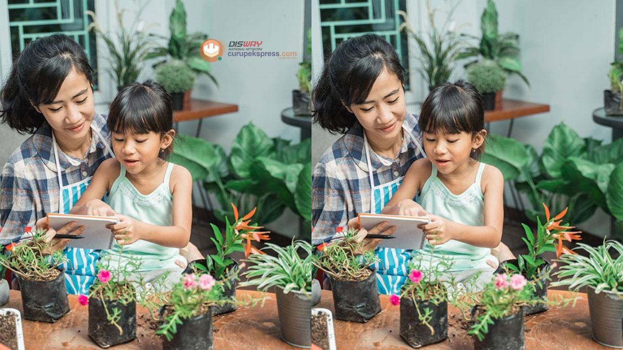 5 Tips Berkebun di Rumah untuk Anda yang Masih Pemula!