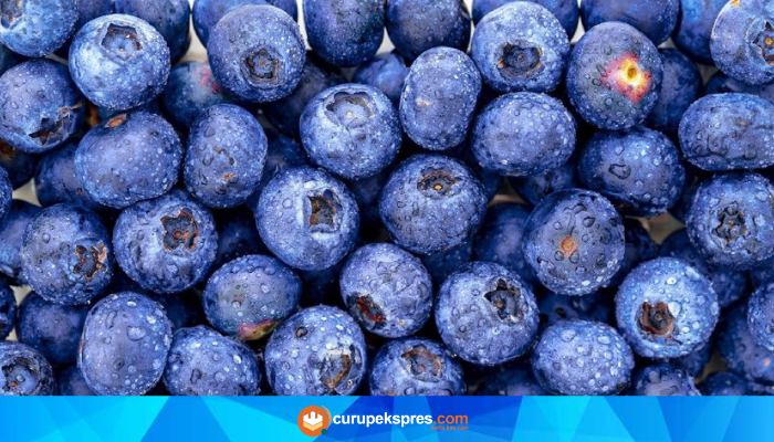 Fakta Menarik Tentang Buah Blueberry yang Kaya Akan Antioksidan