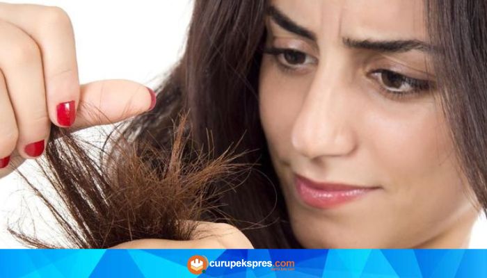 Mengatasi Rambut Bercabang: Tips Perawatan dan Kebiasaan Sehat untuk Rambut yang Lebih Kuat dan Indah