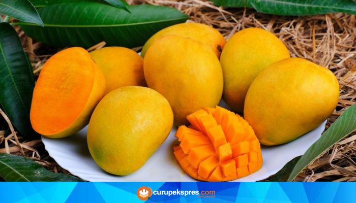 Fakta Unik Mangga Untuk Kesehatan Tubuh