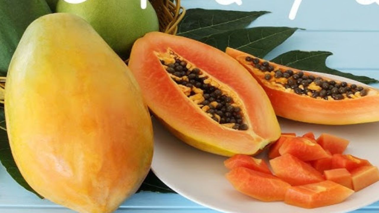 Manfaat Buah Pepaya untuk Kesehatan Tubuh Bayi, Cek Disini!    ﻿