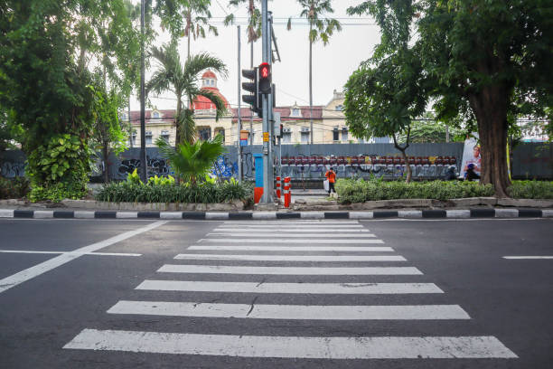 Sejarah Zebra Cross dan Fungsinya