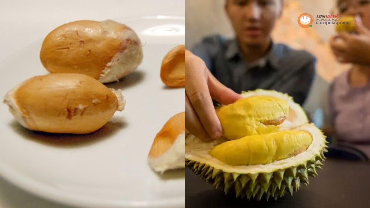 Manfaat Biji Durian untuk Kesuburan Pria yang Wajib Diketahui