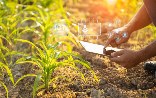  Tips Cara Menggapai Sukses dalam Dunia Pertanian di Era Digital