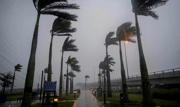    Angin Kencang Diprediksi Melanda, Simak Tips Keselamatan yang Harus Dilakukan