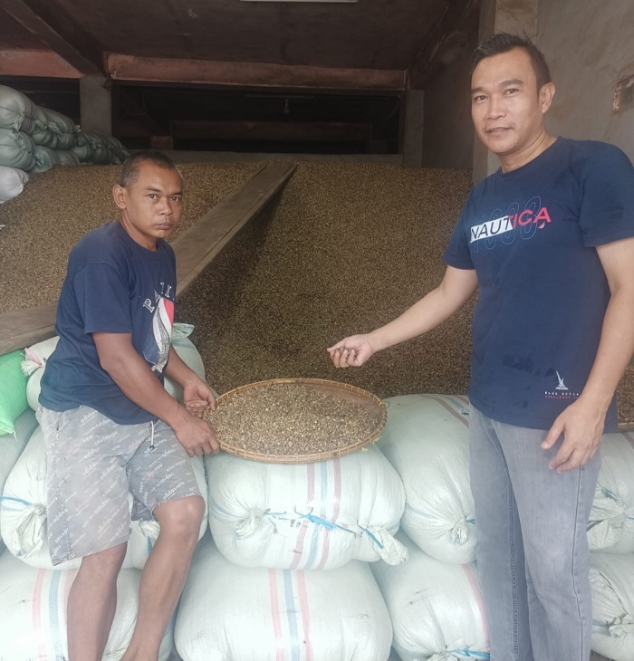 Woww! Harga Kopi Meroket Tajam, Tembus Rp 35 Ribu Perkilo