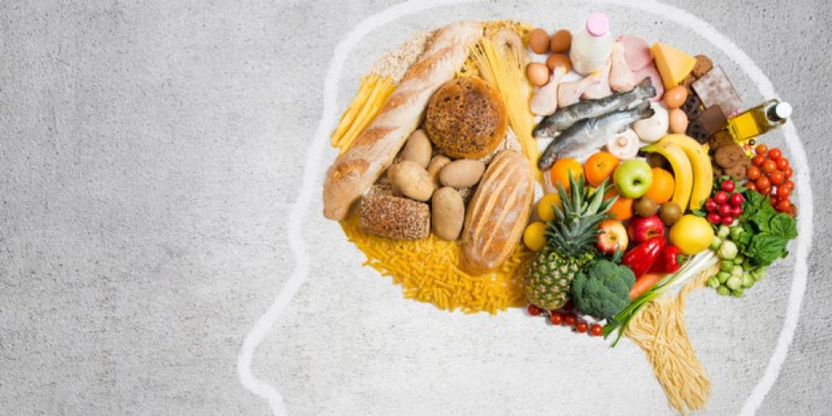 Makanan untuk Otak: Diet yang Meningkatkan Kecerdasan dan Produktivitas