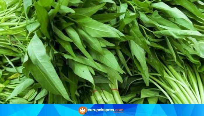 Benarkah Mengkonsumsi Kangkung Bisa Menyebabkan Mengantuk? Ini Faktanya..