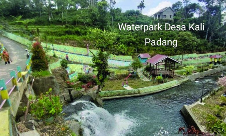 Waterpark Desa Kali Padang Wisata yang Jarang Diketahui 