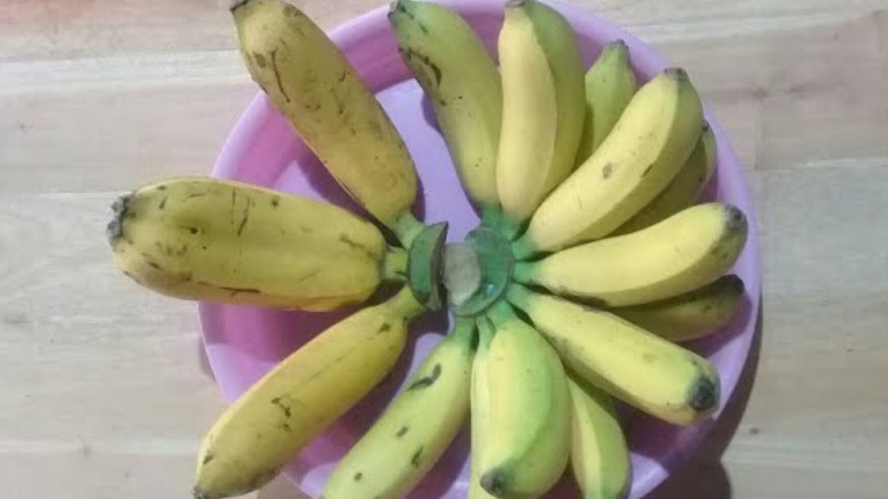 Manfaat Buah Pisang untuk Kesehatan Tubuh Bayi yang Jarang Diketahui