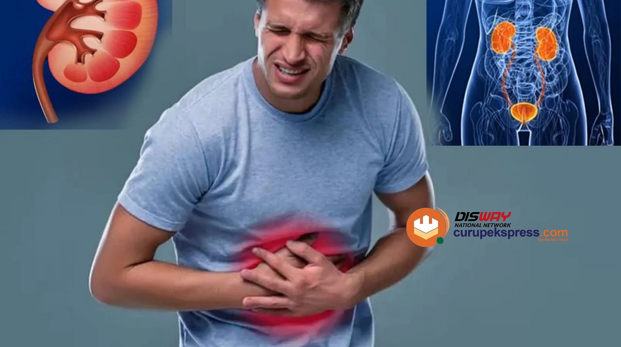 Waspada! Ciri-Ciri Penyakit Ginjal Stadium Awal yang Harus Dikenali