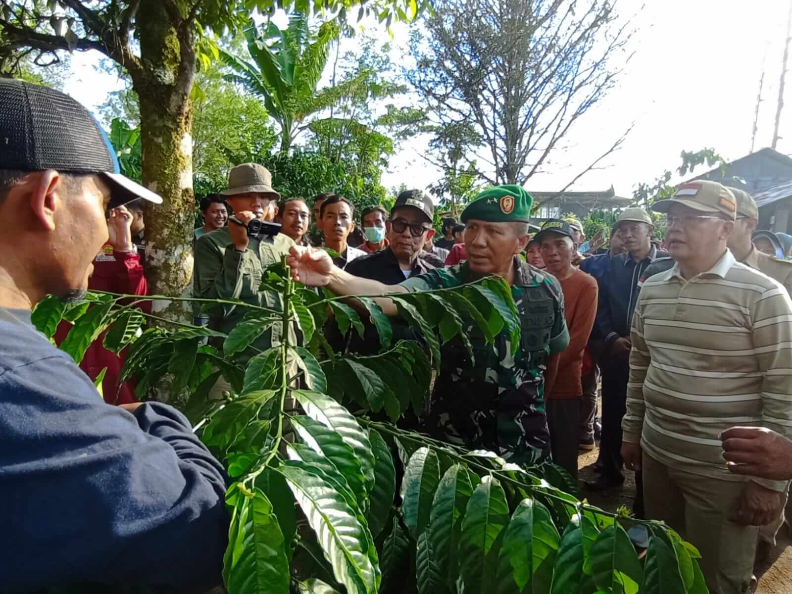 Korem 041 Gamas Targetkan Penanaman Kopi Robusta Hingga 10 Hektar di Kepahiang