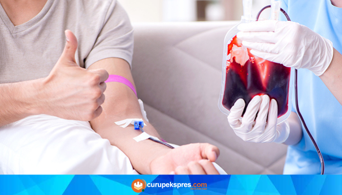 Fakta Penting tentang Kesehatan Setelah Donor Darah