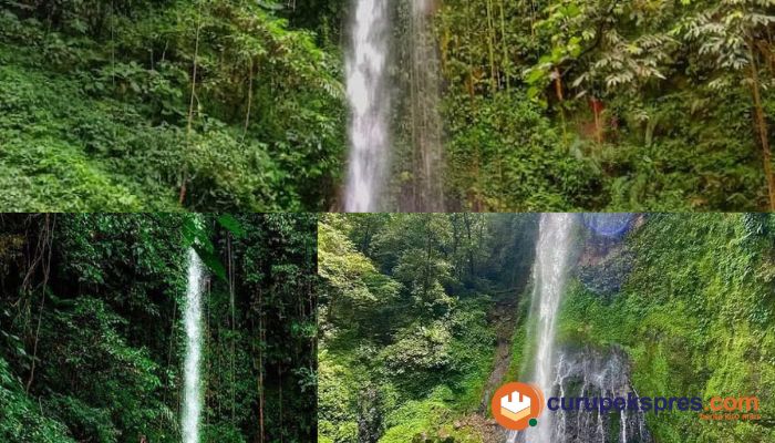 Pesona Air Terjun Pipa Belanda Kepahiang