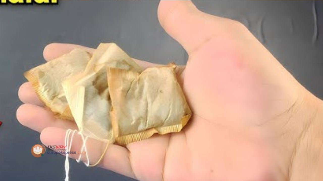Jangan Dibuang! Ini 3 Manfaat Tersembunyi dari Kantong Teh Celup Bekas