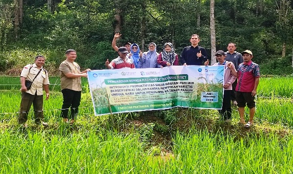 UNIB Mengenalkan Produktivitas Padi Bersertifikat, Hasil Penelitian Dosen Fakultas Pertanian 