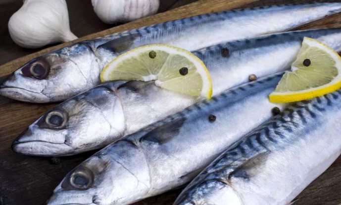  Mau Makan Ikan Setiap Hari ? Ini Jenis yang Paling Sehat dan Aman