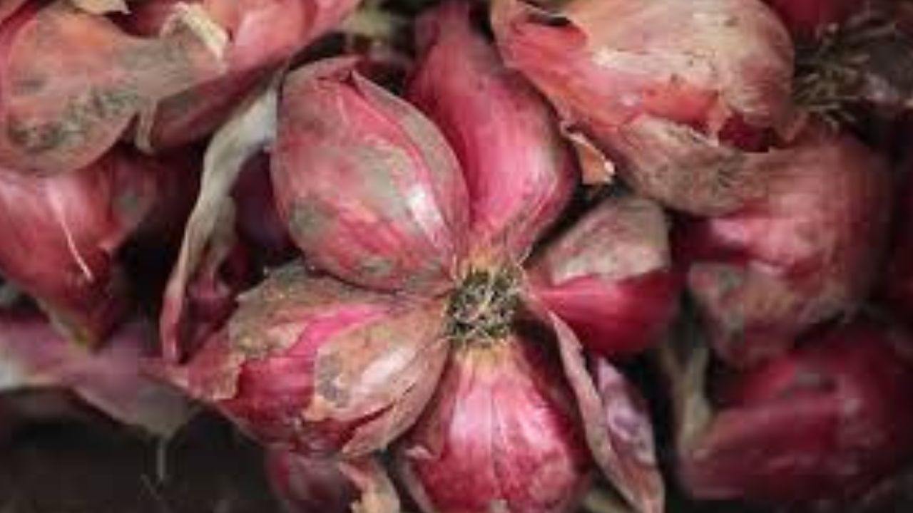 Catat! Ini Manfaat Bawang Merah bagi Kesehatan Tubuh Manusia