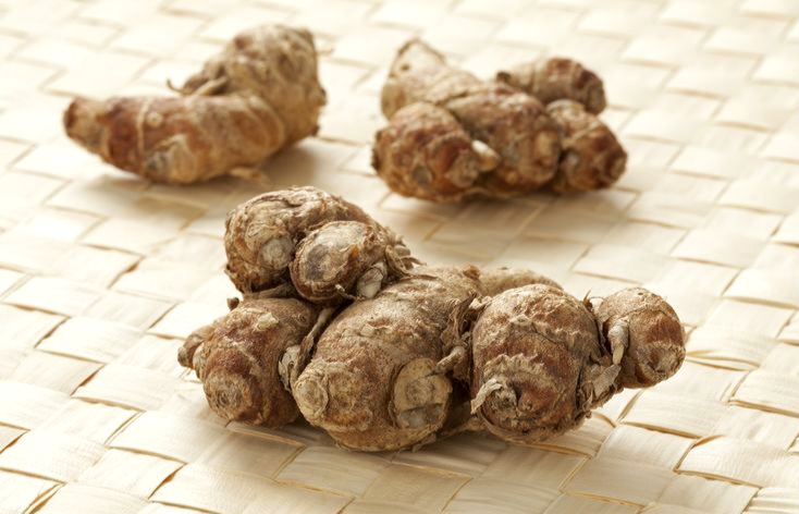 Manfaat Kencur untuk Pernapasan dan Pencernaan Selain untuk Bumbu Dapur