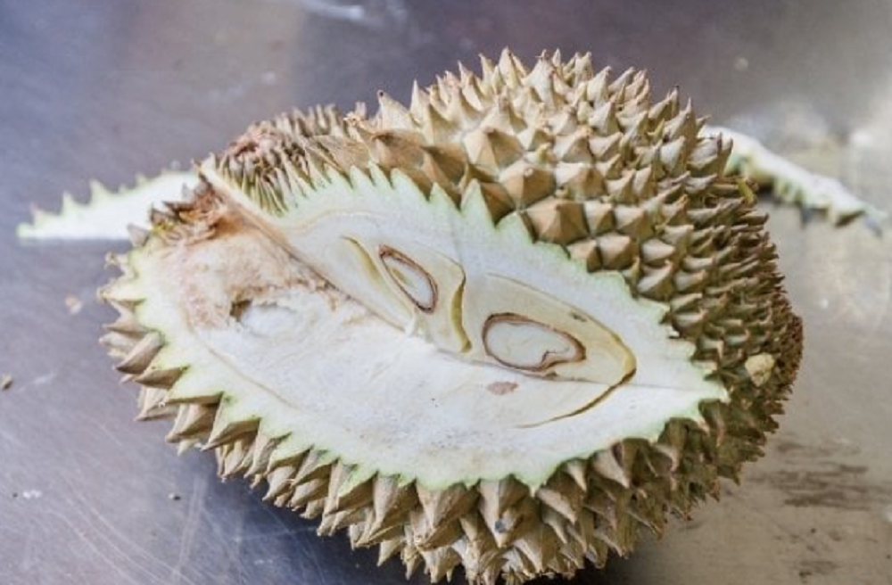 5 Cara Agar Durian Mentah Cepat  Masak, Dijamin Rasanya Manis dan Nikmat!