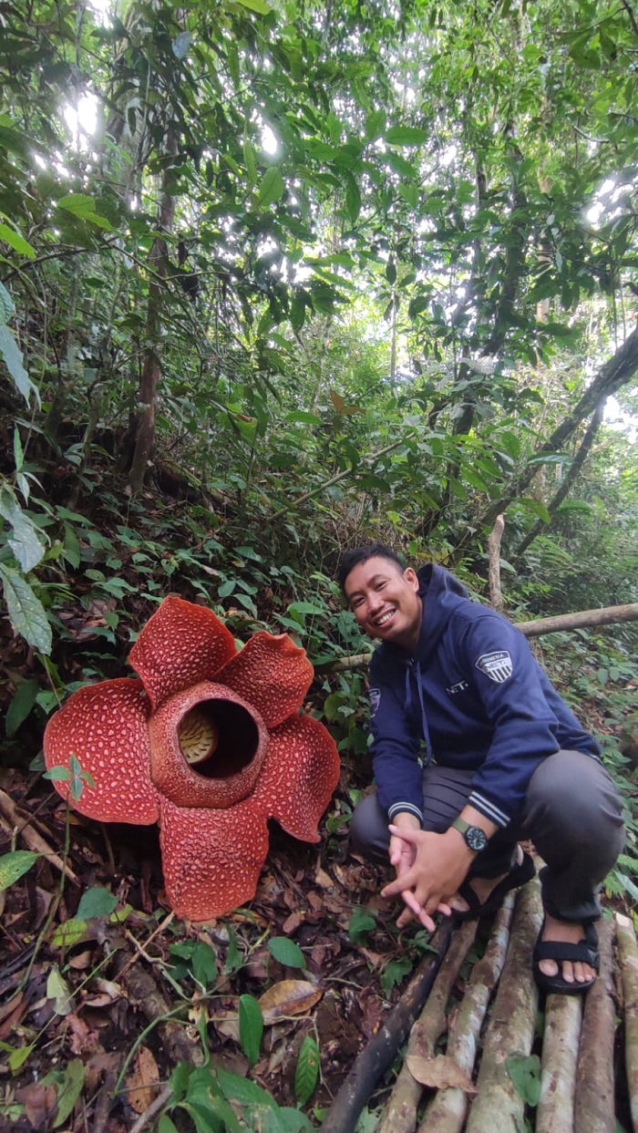Perusak Bunga Rafflesia Harus Dihukum