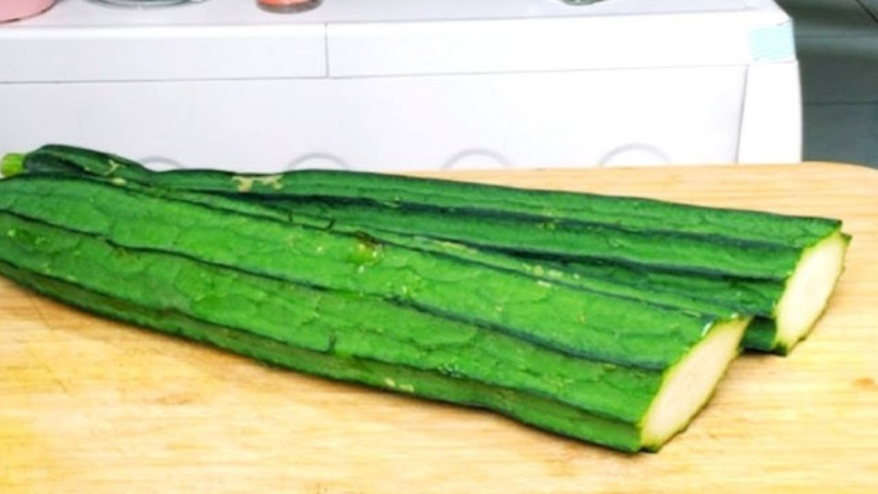 3 Manfaat Gambas bagi Kesehatan Tubuh Ibu Hamil, Cek Disini!