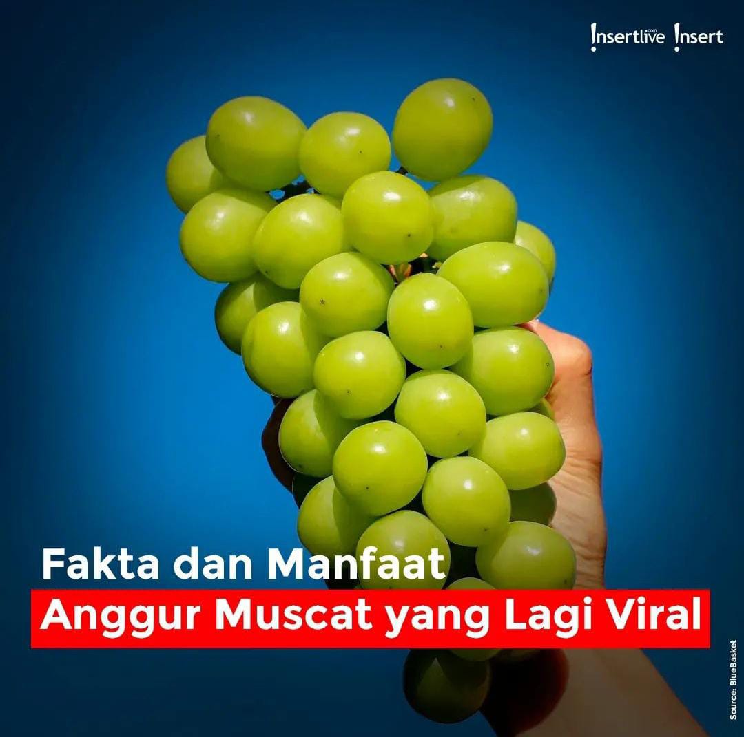 Manfaat Anggur Muscat Yang Lagi Viral! Salah Satunya Bisa Menyembuhkan ...