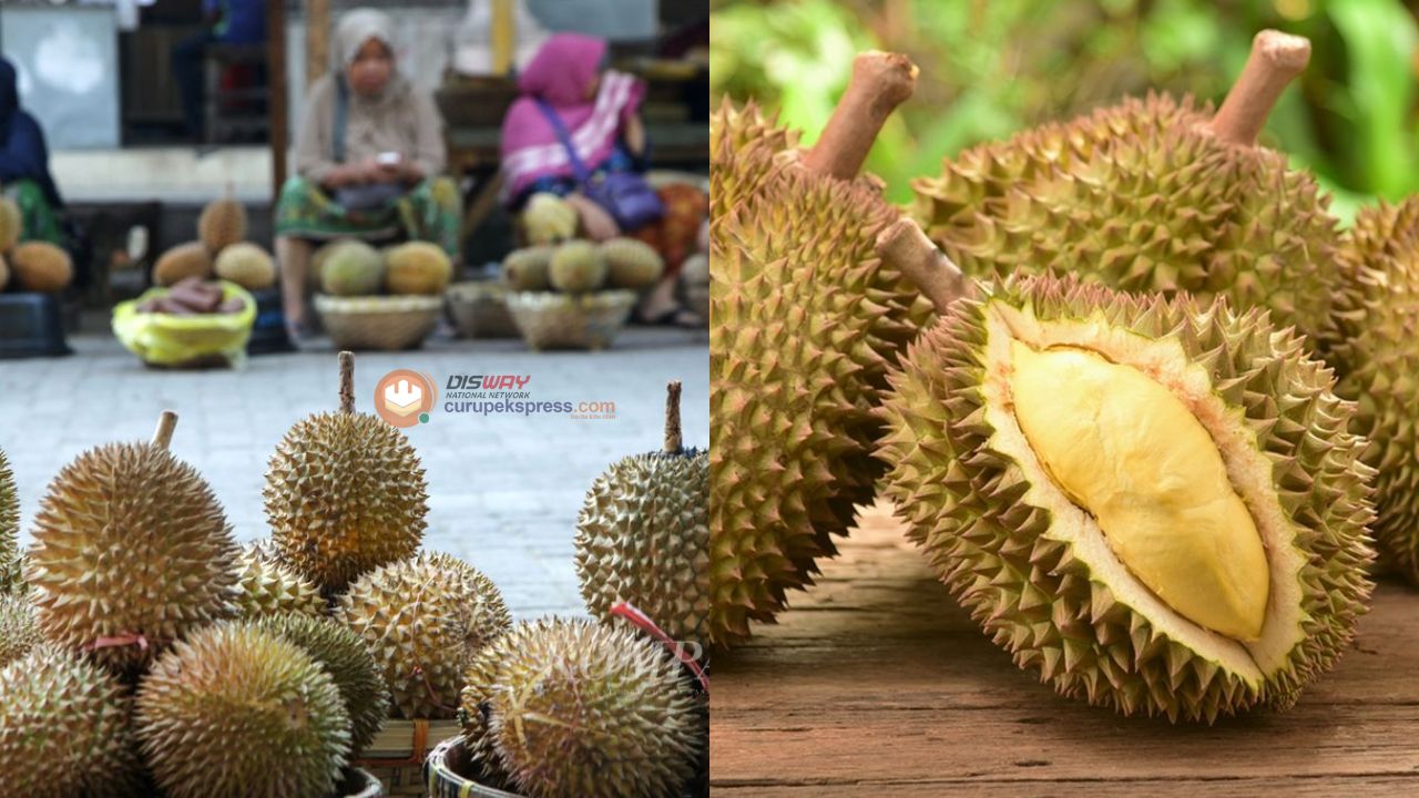 Tips dan Trik Memilih Durian yang Sempurna di Pasar