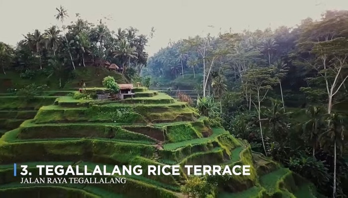 Destinasi Wisata di Ubud Bali yang Wajib Dikunjungi