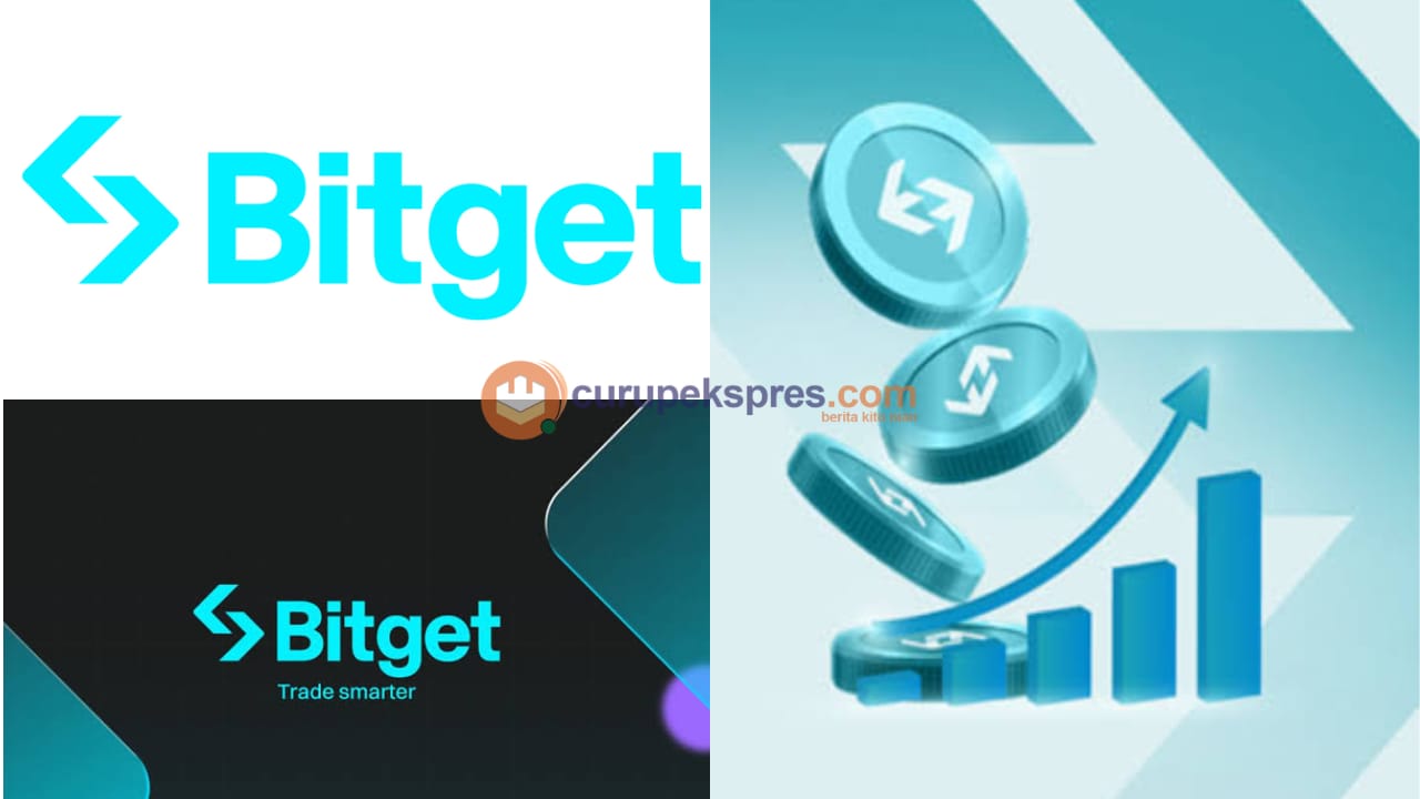 Bitget Wallet Review 2024: Fitur hingga Cara Daftar