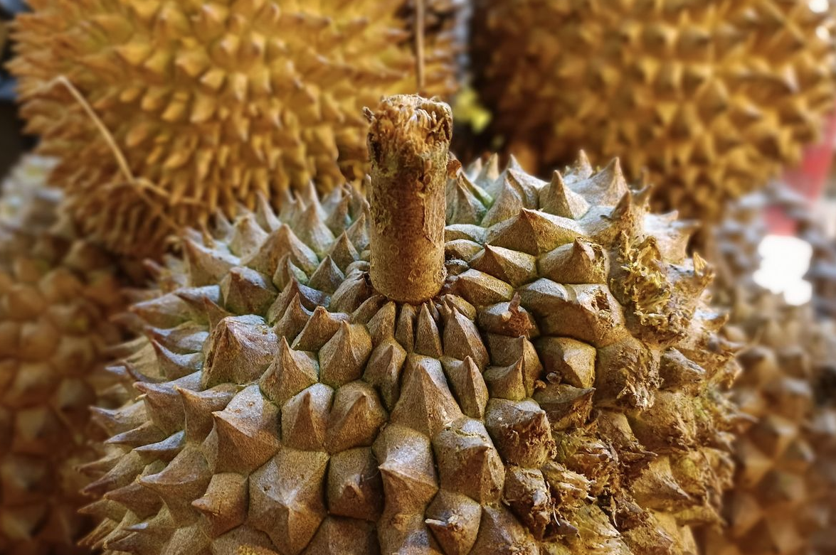 Awas, Durian Bisa Jadi Bahaya bagi Sebagian Orang!