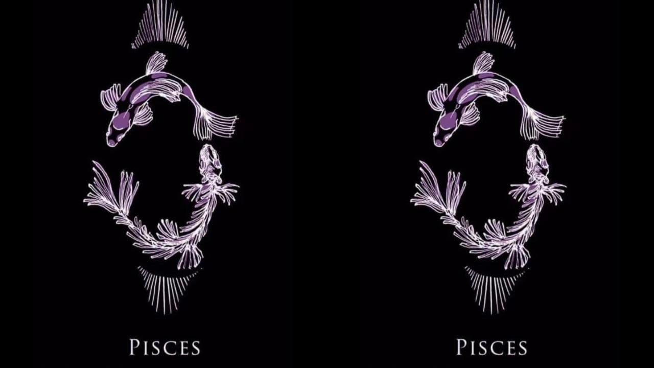 Hati Pisces Itu Dalam, dan Tak Semua Orang Bisa Menyelam Sampai Dasarnya