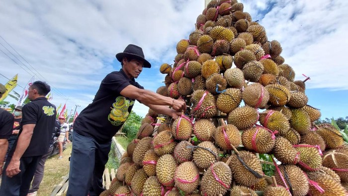 Festival Durian di Curup Seminggu Lagi