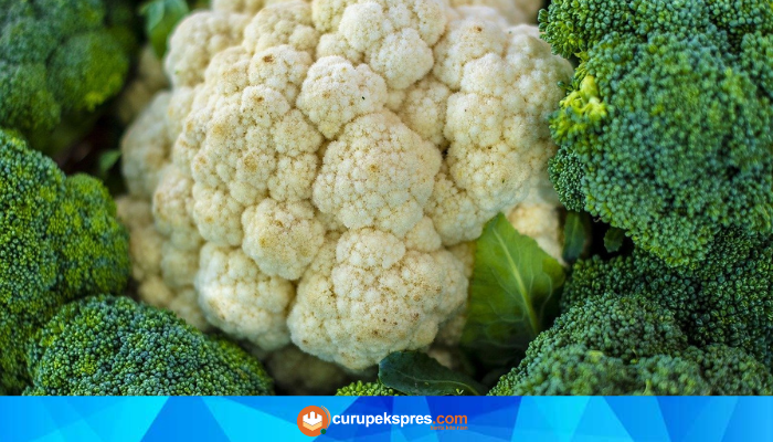 6 Fakta Menarik tentang Brokoli: Nutrisi, Kesehatan Tulang, Kanker, dan Kesehatan Mata!
