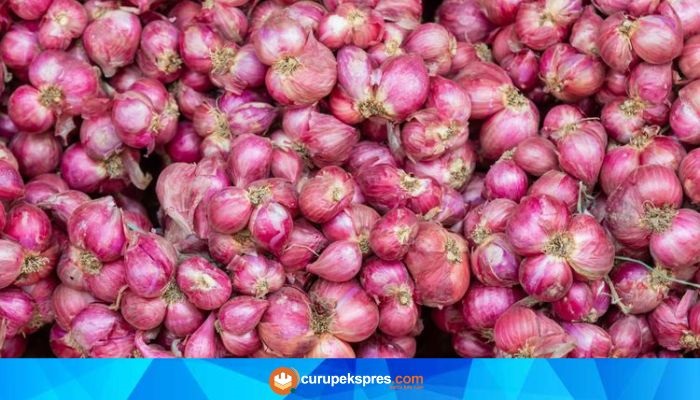 Dianggap Limbah Tak Berguna, Ternyata Ini Manfaat Kulit Bawang Merah untuk Kesuburan Tanaman