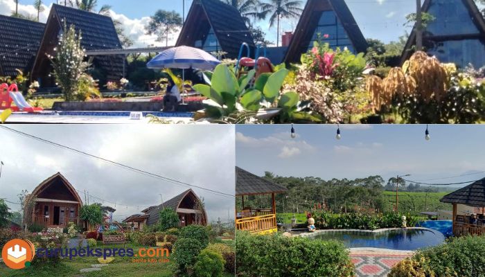 Villa Barat Wetan Kepahiang Tempat Menginap dengan Nuansa Kebun Teh