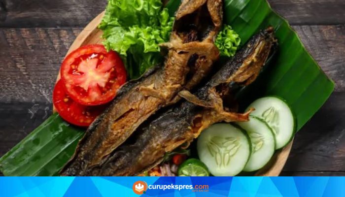 Manfaat Ikan Lele Untuk Kesehatan Tubuh Kita Yang Jarang Diketahui