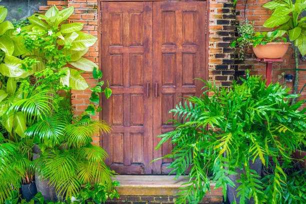 Tanaman Feng Shui untuk Pintu Depan Rumah