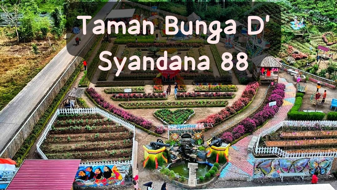 Taman Bunga D' Syandana 88 Pesona Alam Tersembunyi di Rejang Lebong