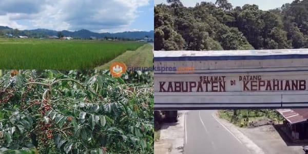 Peran Pertanian dalam Perekonomian Kabupaten Kepahiang